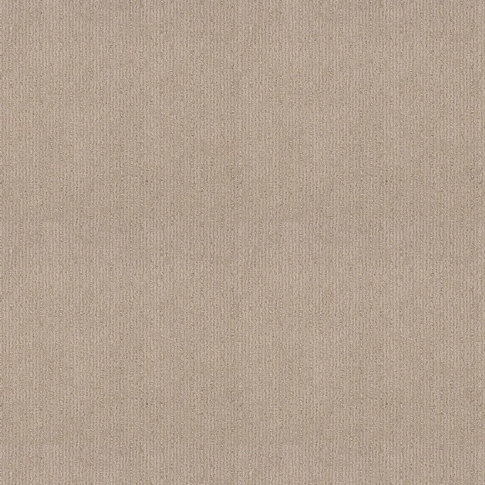 Shaw Cedar City Carpet in Passageway, , large
