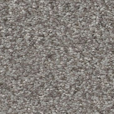 Shaw You Got This III Carpet in Vintage, , large