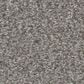 Shaw You Got This III Carpet in Vintage, , large