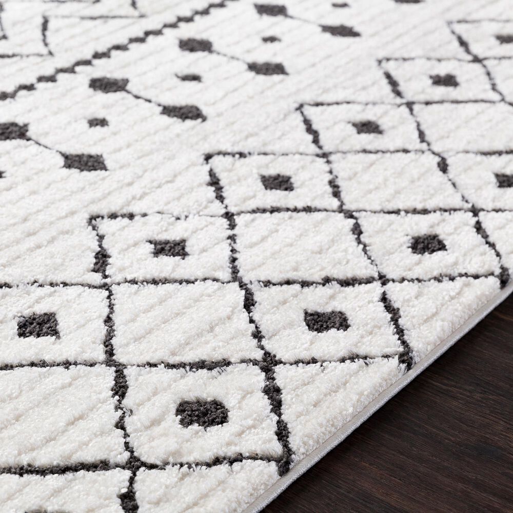 Surya Moroccan Shag 2&#39; x 3&#39; Black and White Area Rug, , large