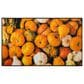 Mohawk Fall and Harvest 2" X 3"4" Multicolor Door Mat, , large