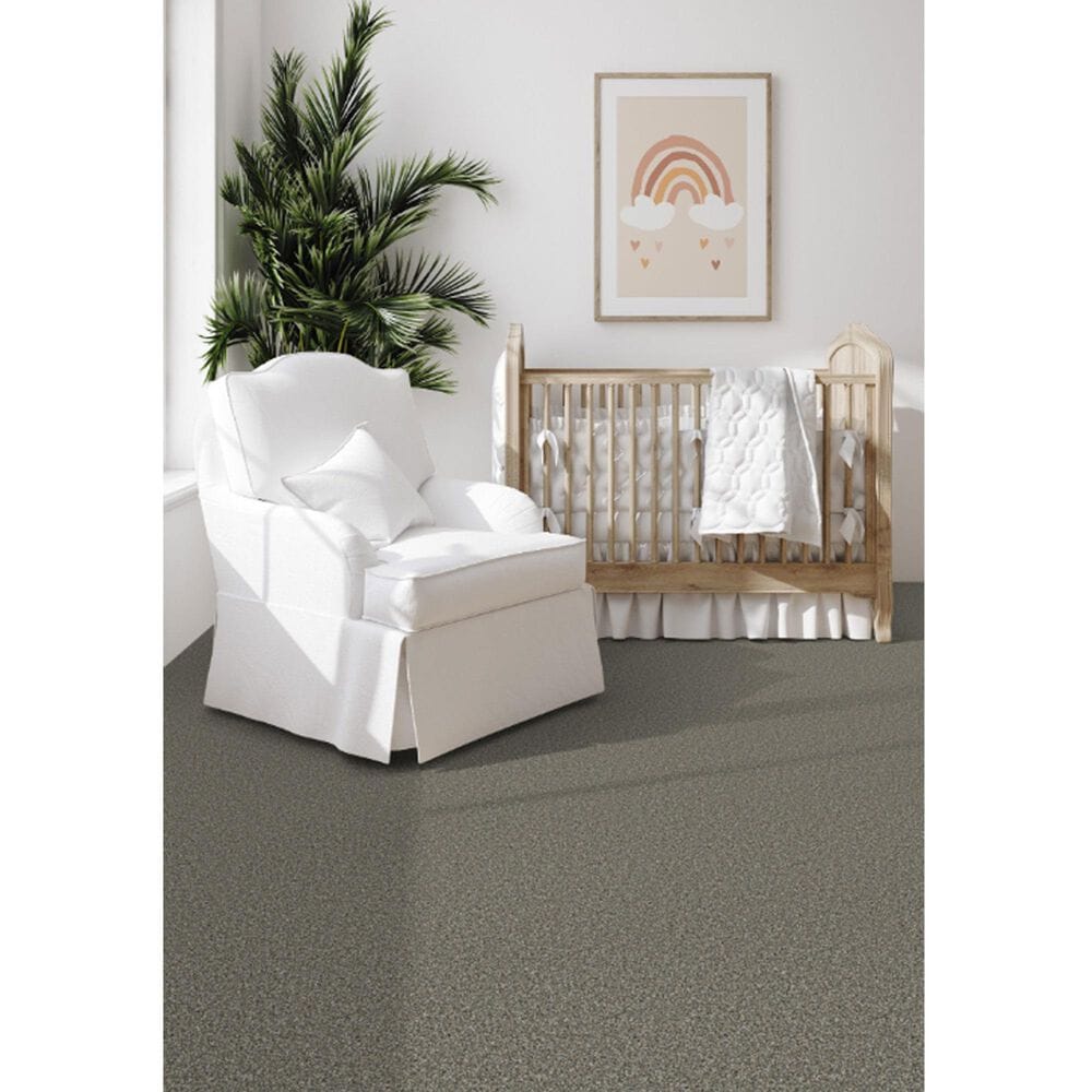 Dixie Home Outlast Carpet in River Rock, , large