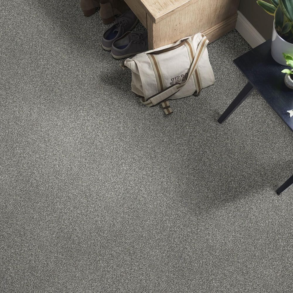 Shaw Simply the Best All Over It I Carpet in Sparrow, , large