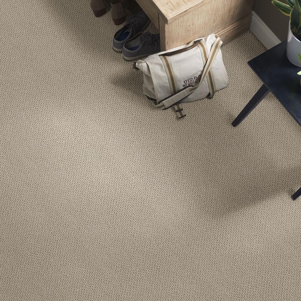 Anderson Tuftex Crafted Carpet in Pavestone, , large
