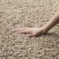 Safavieh Athens Shag SGA119G-4 4" x 6" Beige Area Rug, , large