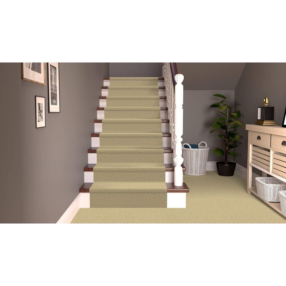 Dixie Home Simplicity Carpet in Sand Motif, , large
