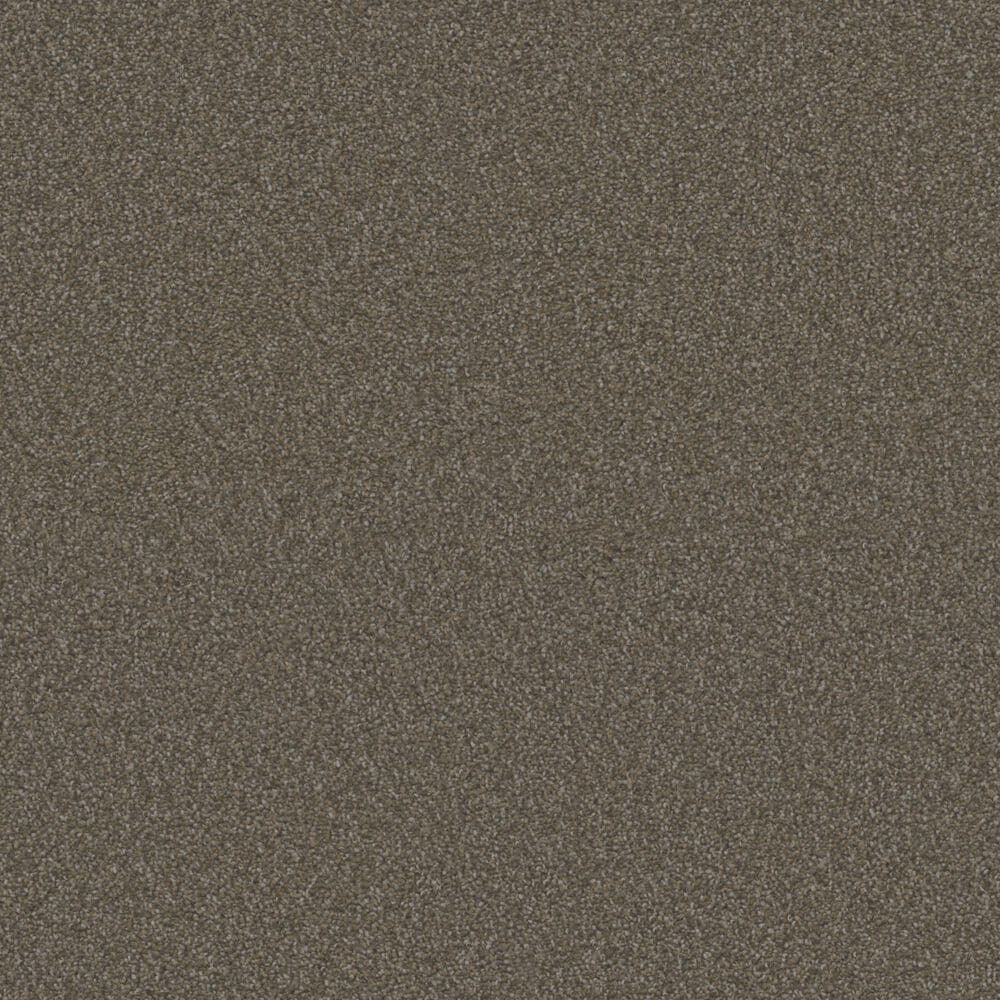 Phenix El Dorado Carpet in Pioneer, , large