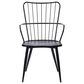 Blue River Parisa Side Chair in Black, , large