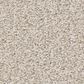 Shaw Del Rio I Carpet in Linen, , large