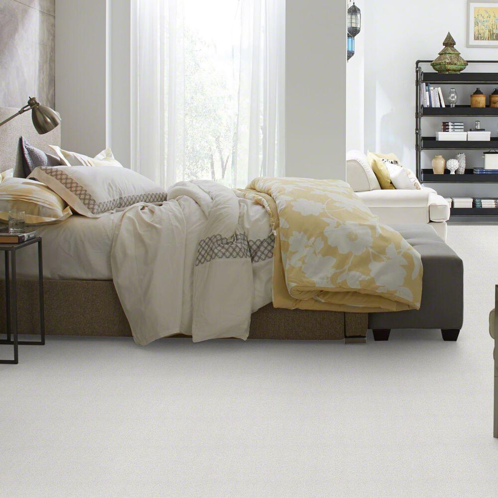 Philadelphia Basic Rules Carpet in Mist, , large