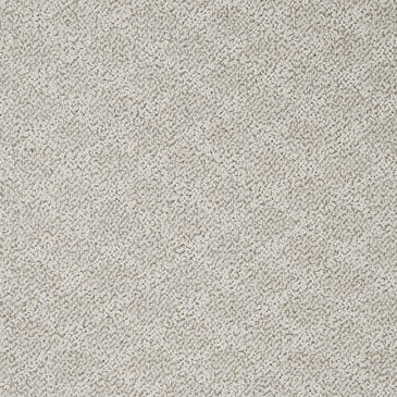Dixie Home Culture Carpet in Tarnished, , large