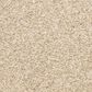 Dixie Home Escalante Carpet in Mocha, , large