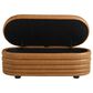 Lifestyle Solutions Lancaster Storage Ottoman in Carmel, , large