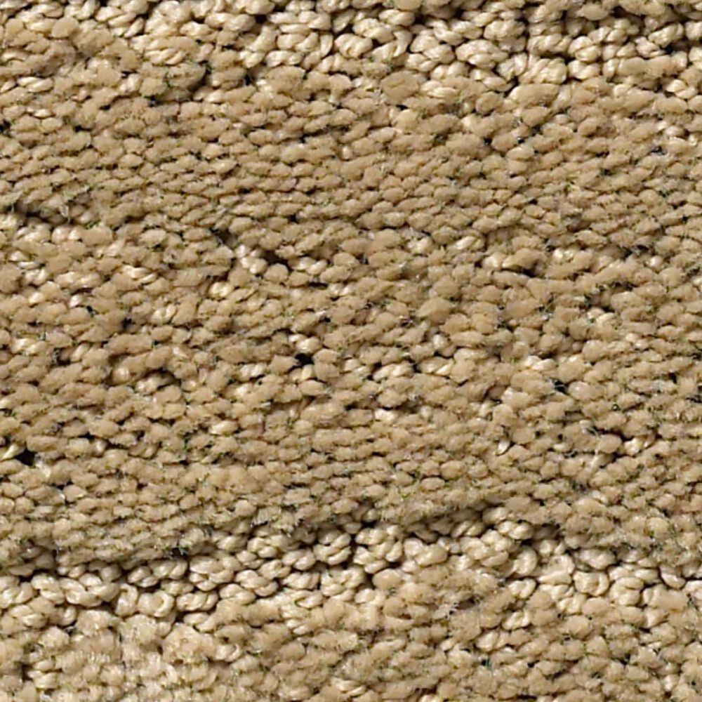 Anderson Tuftex Pose Carpet in Folklore, , large