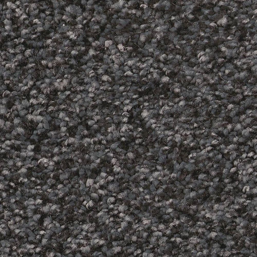Shaw You Got This I Carpet in Shadow, , large