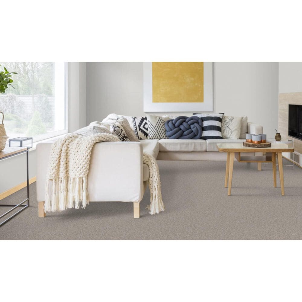 Dixie Home Devotion Carpet in Pebble, , large