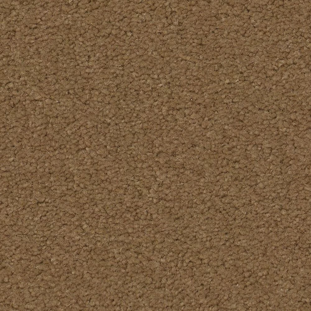 Anderson Tuftex Finery Carpet in Candied Pecan, , large