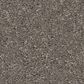 Anderson Tuftex Enduring Charm Carpet in Lunar Rock, , large