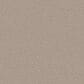 Shaw You Got This II Carpet in Subtle Clay, , large