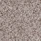Anderson Tuftex Sumptuous II Carpet in Patio Stone, , large