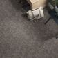 Philadelphia Caress Free Spirit Carpet in Grounded Gray, , large