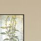 Paragon Herbs 25" x 13" Wall Art in Green (Set of 4), , large