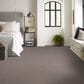 Shaw Inlet Shore I Carpet in Smooth Satin, , large