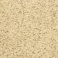 Dixie Home Debut Carpet in Sand Motif, , large