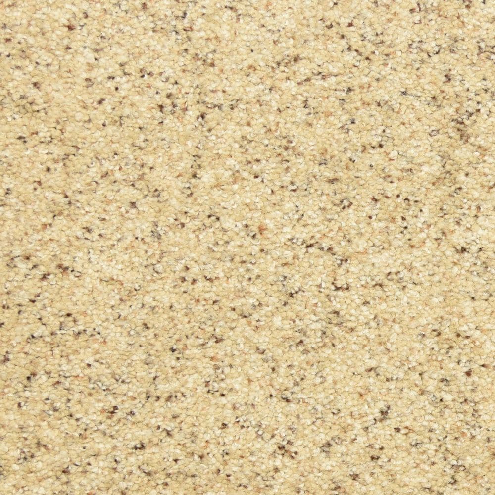 Dixie Home Debut Carpet in Sand Motif, , large