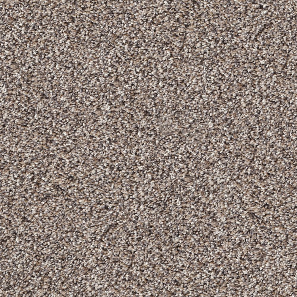 Dixie Home Swiss Alpine Carpet in Puppy, , large
