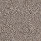 Dixie Home Swiss Alpine Carpet in Puppy, , large