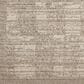 Loloi II Darby 9"2" x 13" Pebble and Sand Area Rug, , large
