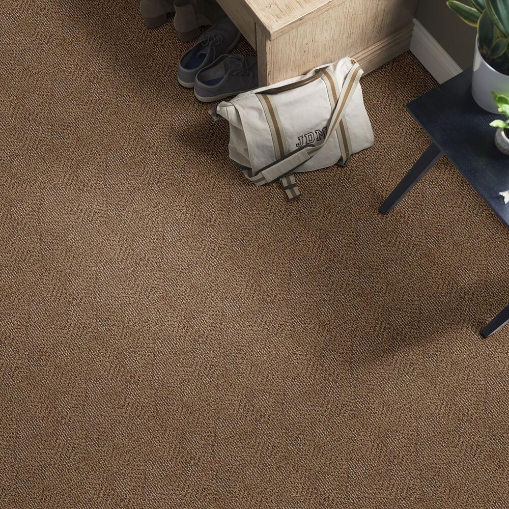 Anderson Tuftex Luna Carpet in Desert Beach Nebraska Furniture Mart