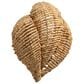 Jamie Young Direct Ship Elmont 1-Light Wood Beaded Wall Sconce in Natural, , large