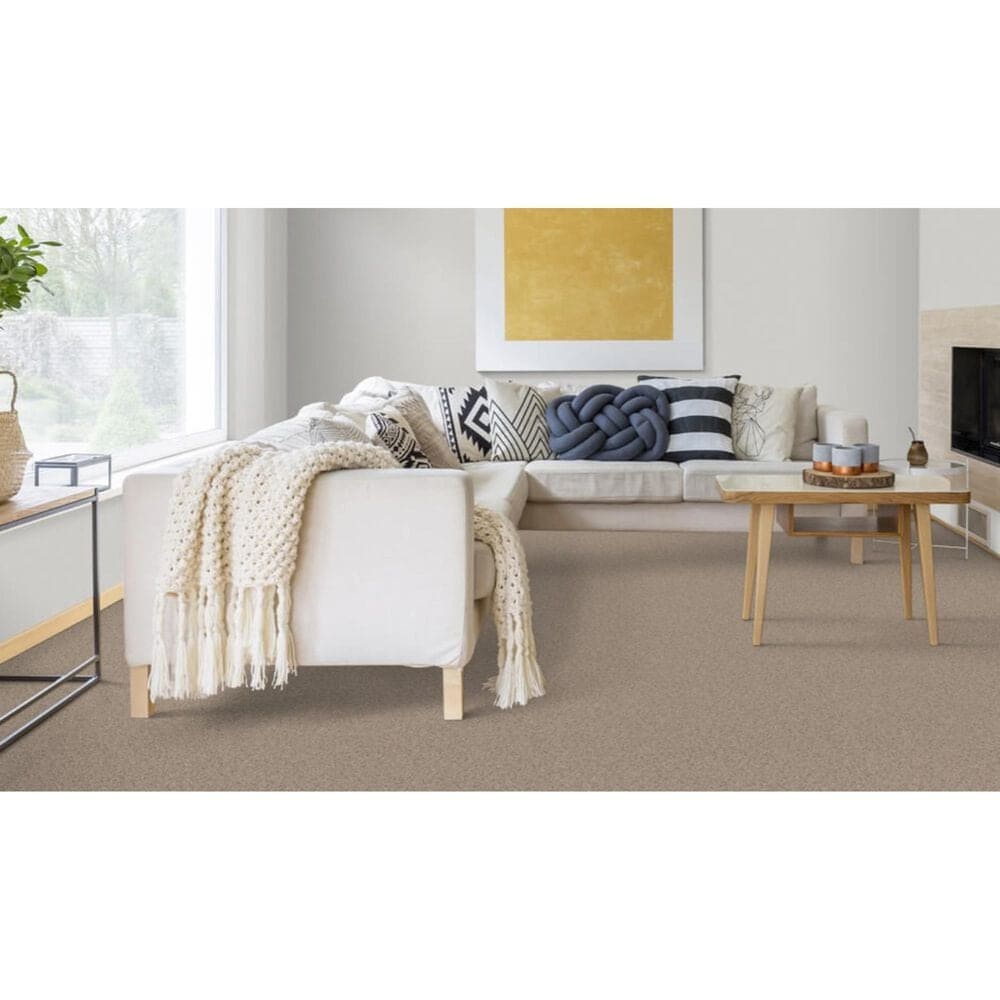 Dixie Home Devotion Carpet in Walnut, , large