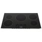 Thor Kitchen 36" 5-Burner Element Induction Cooktop in Black, , large