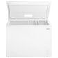 Frigidaire 10 Cu. Ft. Garage Ready Chest Freezer in White, , large