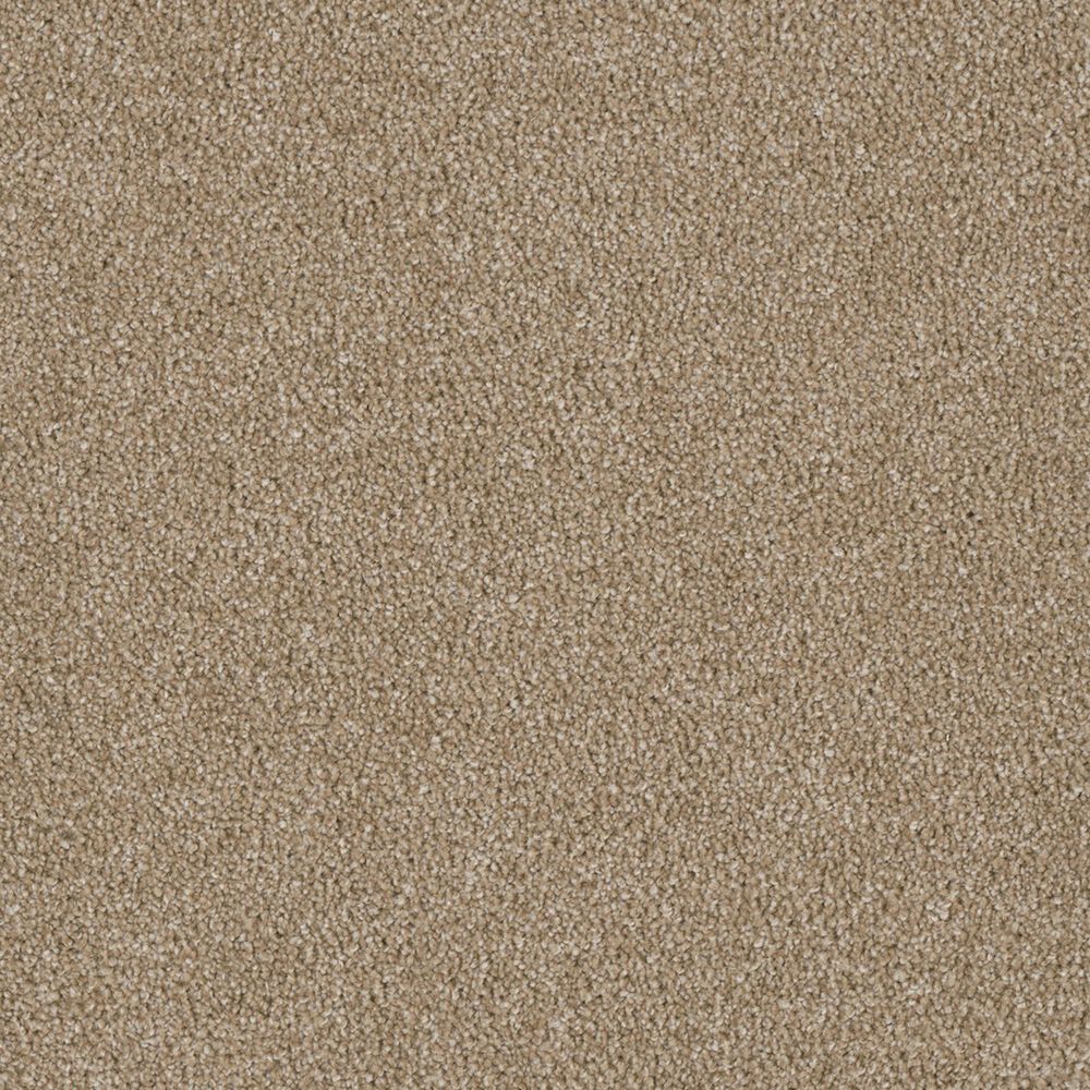 Dream Weaver Luxor II Carpet in Sawgrass, , large