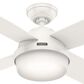 Hunter Dempsey 52" Outdoor Ceiling Fan with Lights in Fresh White, , large