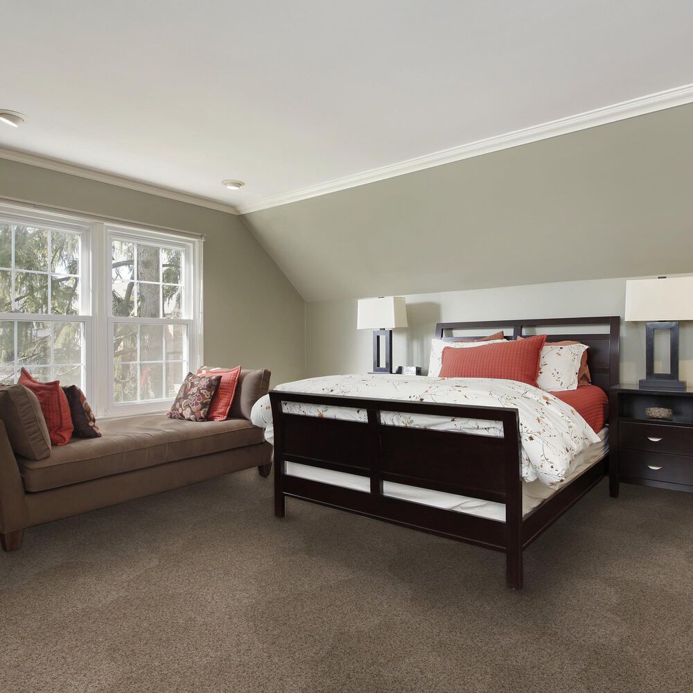 Dream Weaver Serene II Carpet in Cinnabar, , large