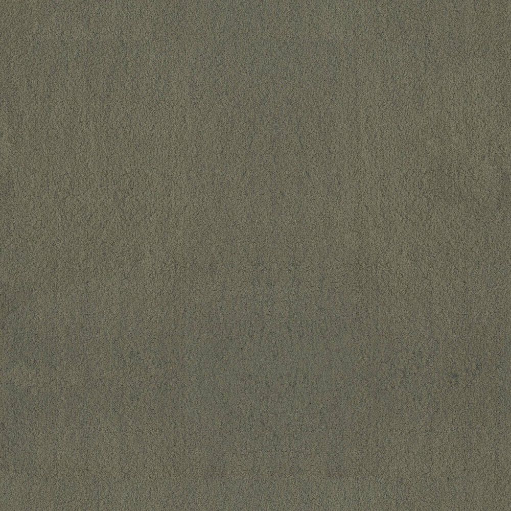 Anderson Tuftex Luxe Feel I Carpet in Bonsai, , large
