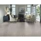 Stanton Aerial Carpet in Antique, , large