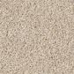 Shaw Pure Affection T Carpet in Dune View, , large