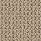 Anderson Tuftex Arden Park Carpet in Nutshell, , large
