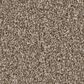 Shaw Imaginable III Carpet in Clay, , large