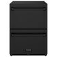 Thor Kitchen Gordon Ramsay 24" Undercounter Refrigerator in Black, , large