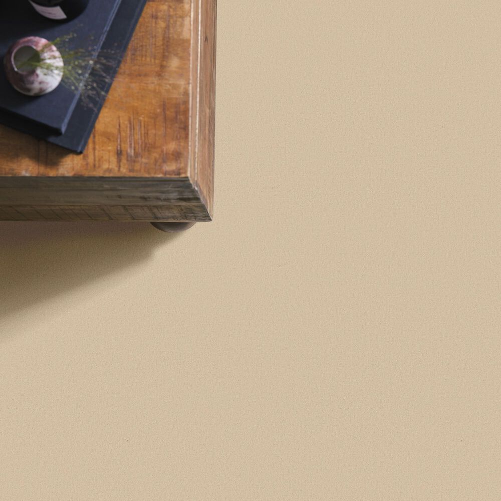 Anderson Tuftex Finery Carpet in Goose, , large