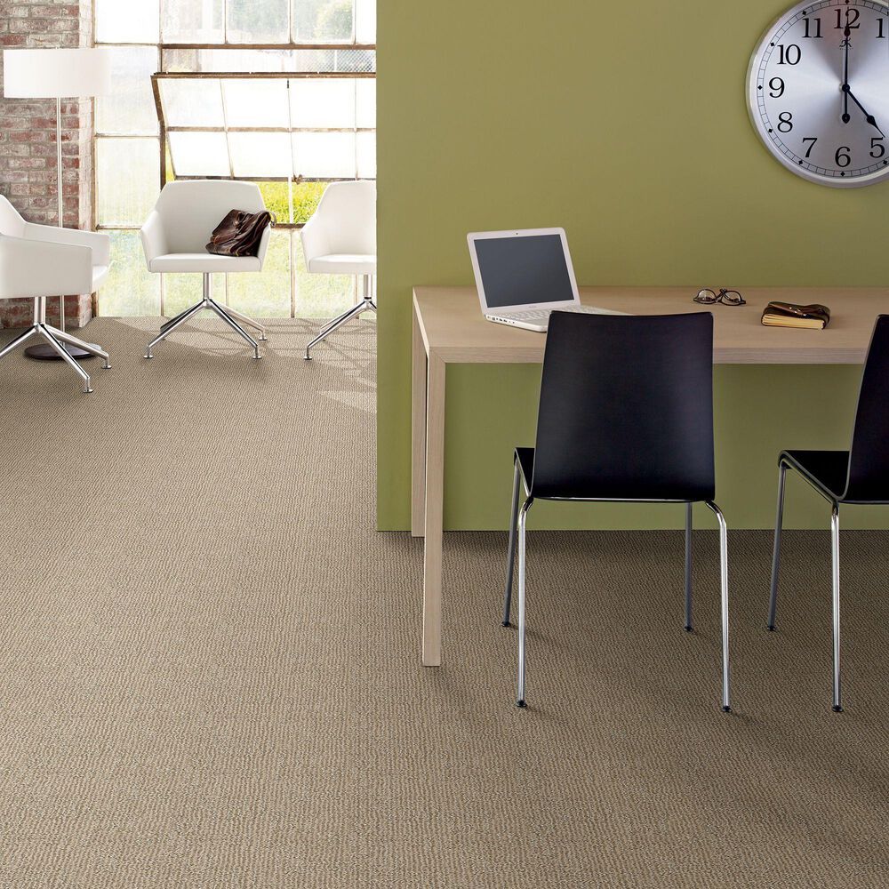 Anderson Tuftex Loredo Carpet in Coastal Home, , large