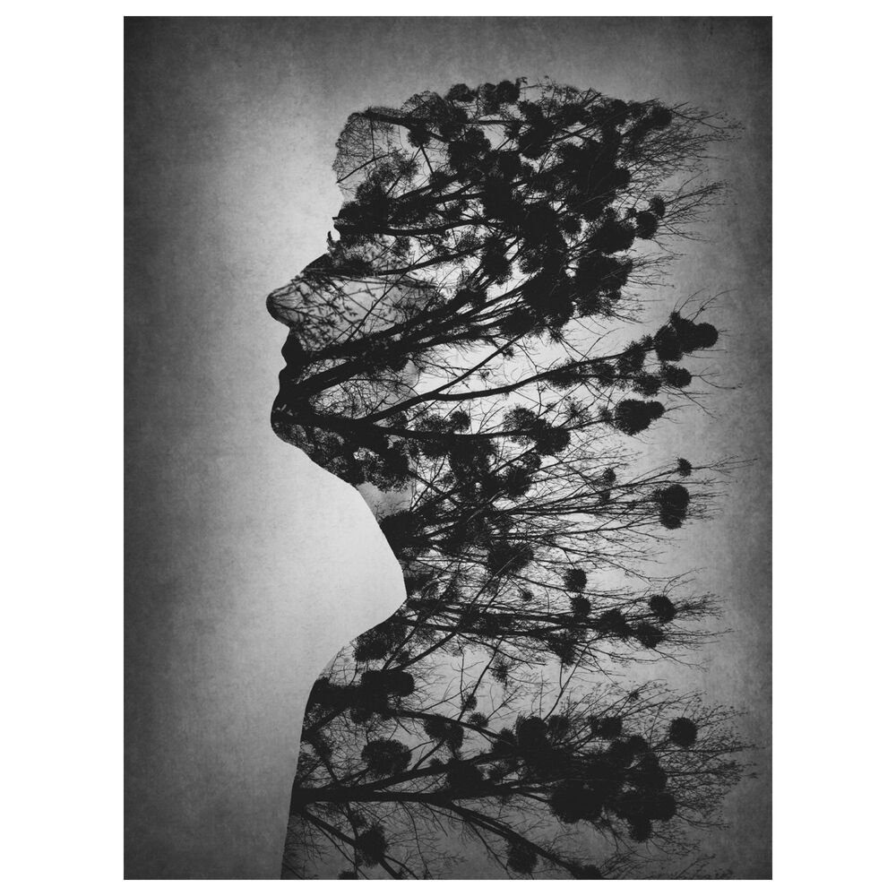 Timberlake Essence Of Life 32" x 24" Canvas Art in Grey/Black/White, , large
