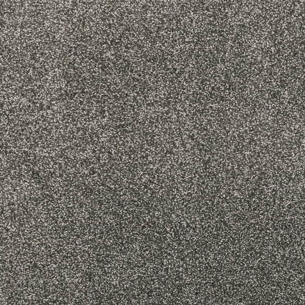 Mohawk Luxuriant Life Carpet in Inverness, , large